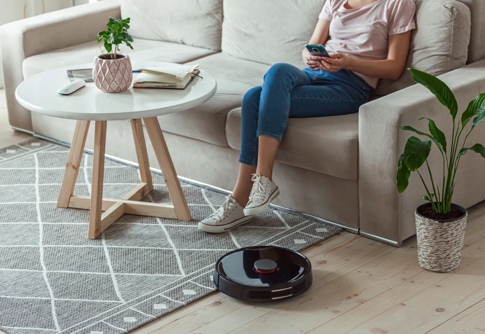 robot vacuum cleaning